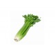 Chinese Celery