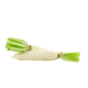 Daikon (White Rabish)