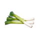 Leek