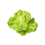 Vegetables