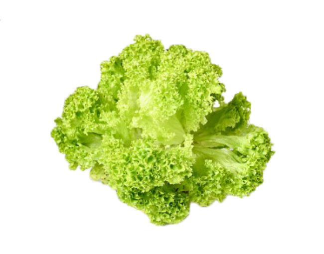 Vegetables